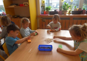 Zdjęcie 4 na 35