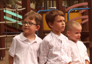 Zdjęcie 27 na 73