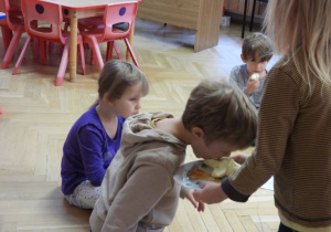 Zdjęcie 13 na 40