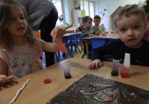 Dzieci wykonują doświadczenie z wędrującą wodą.