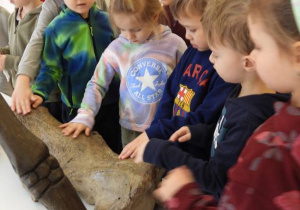 Dzieci oglądają eksponaty w Muzeum Ziemi.