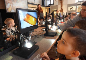 Dzieci oglądają eksponaty w Muzeum Ziemi.