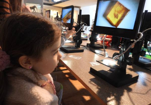 Dzieci oglądają eksponaty w Muzeum Ziemi.