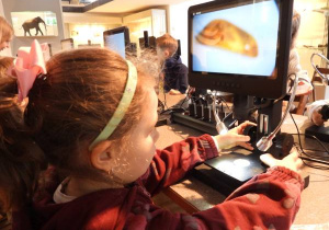 Dzieci oglądają eksponaty w Muzeum Ziemi.