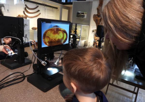 Dzieci oglądają eksponaty w Muzeum Ziemi.