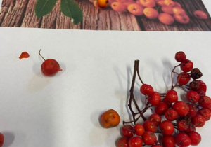 Dzieci bawią się jesiennym materiałem przyrodniczym.